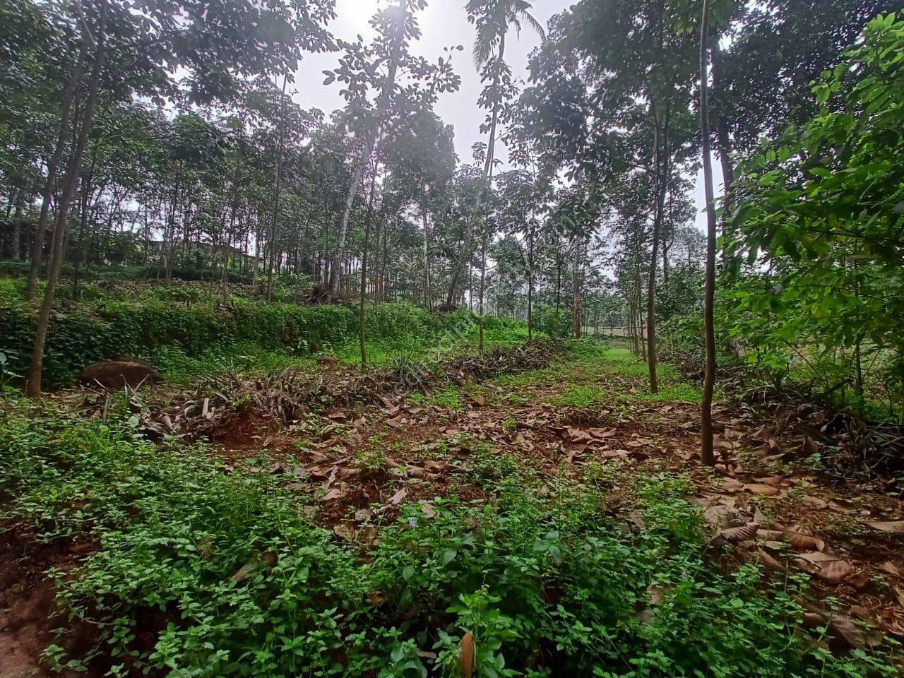 IMG-20231112-WA0060(1)