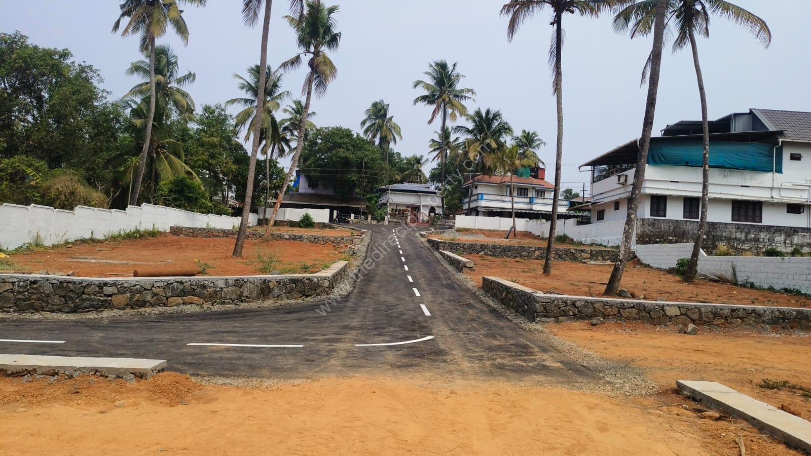 land in Nedumangad