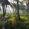 Land for sale near Thrikkunnapuzha