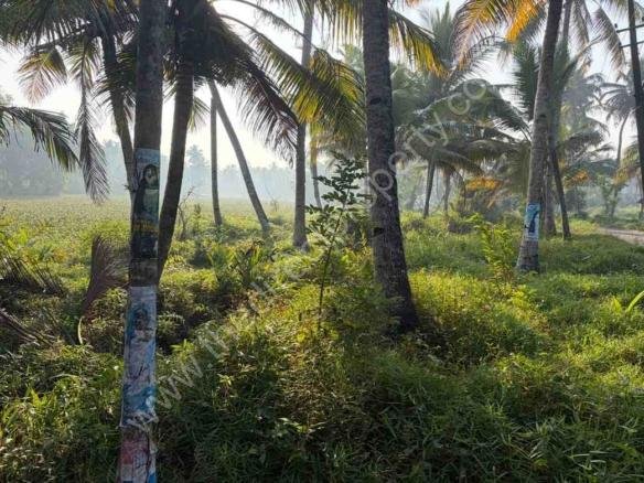 Land for sale near Thrikkunnapuzha