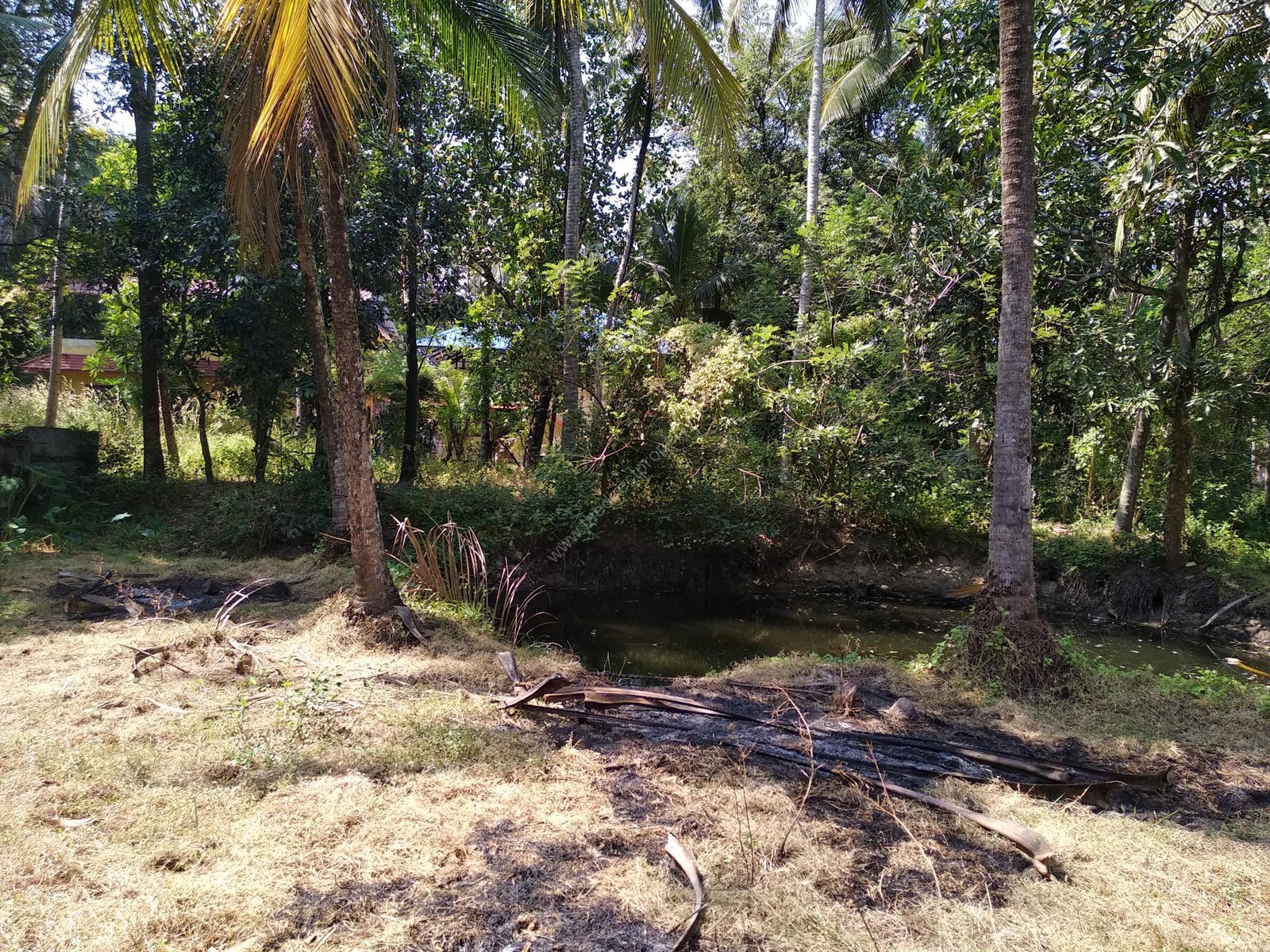 Land for sale in Vadanapally
