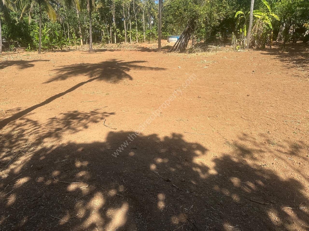 WhatsApp Image 2026-02-04 at 5.49.04 PM (1)