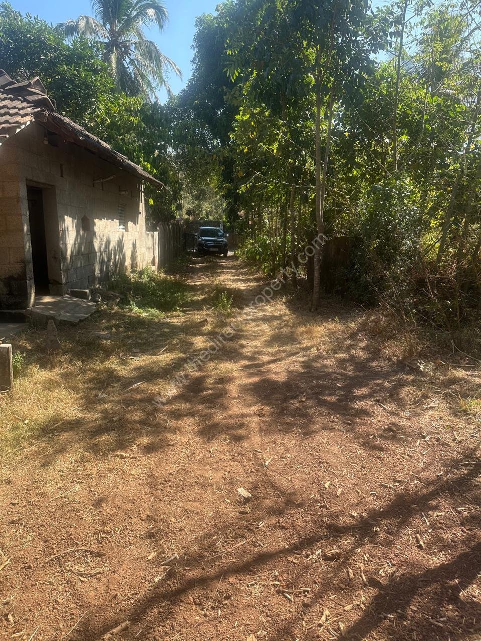 WhatsApp Image 2026-02-04 at 5.49.04 PM (2)