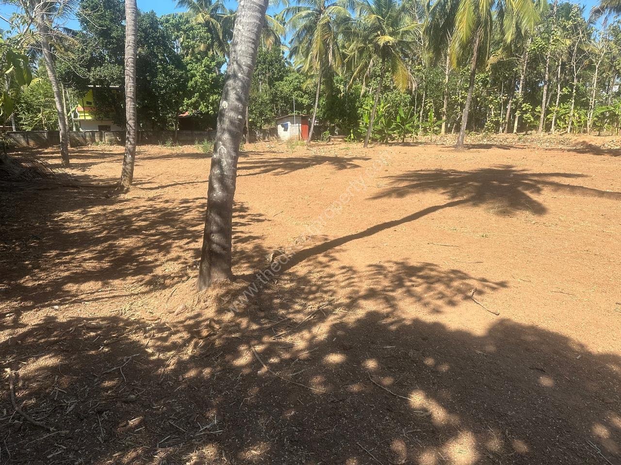 WhatsApp Image 2026-02-04 at 5.49.04 PM