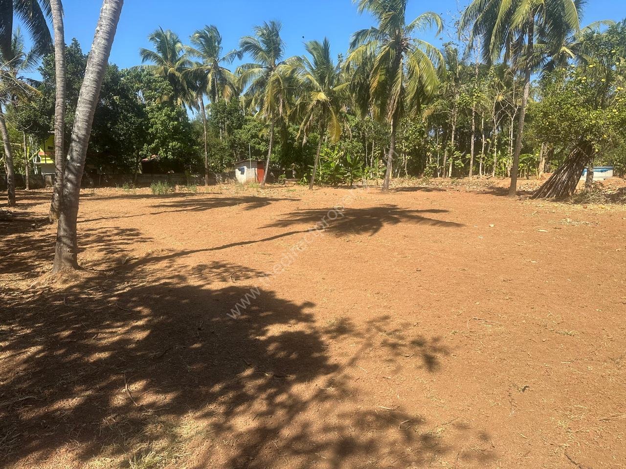 WhatsApp Image 2026-02-04 at 5.49.05 PM (1)