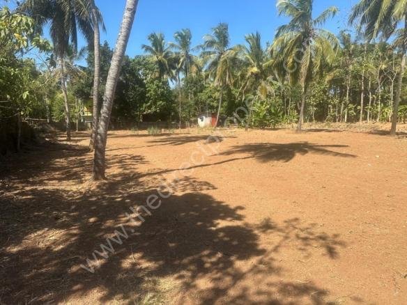 Land for sale in mundur