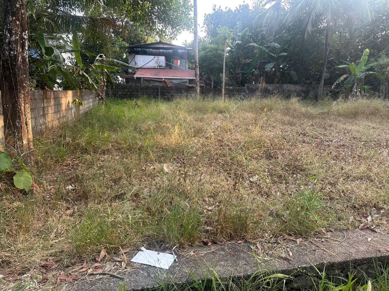 WhatsApp Image 2026-02-04 at 6.03.33 PM (1) land for sale in Mundur