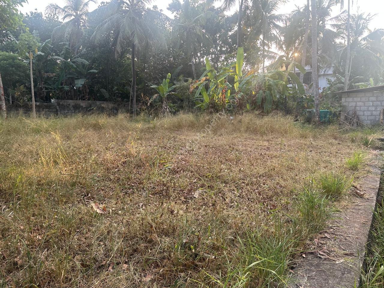 WhatsApp Image 2026-02-04 at 6.03.34 PM (1)