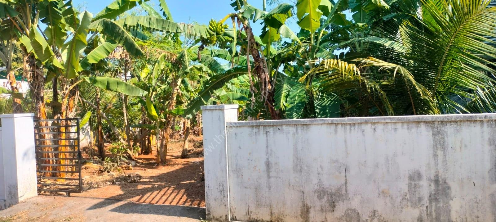 WhatsApp Image 2026-02-07 at 3.24.56 PM