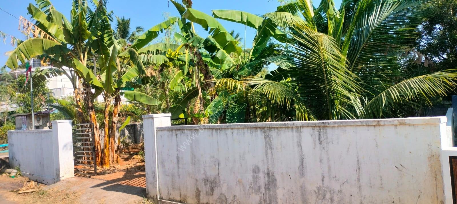 WhatsApp Image 2026-02-07 at 3.24.57 PM