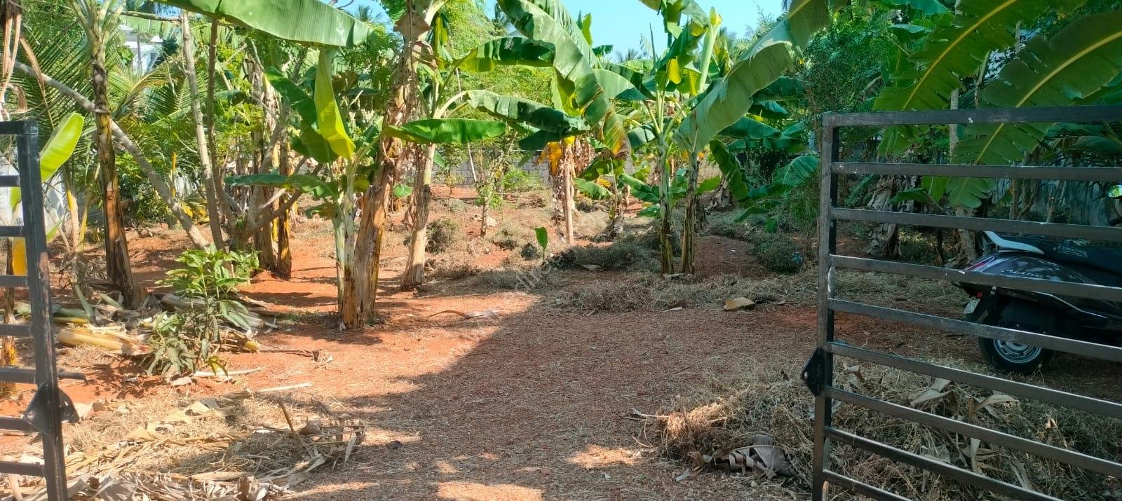 WhatsApp Image 2026-02-07 at 3.26.50 PM