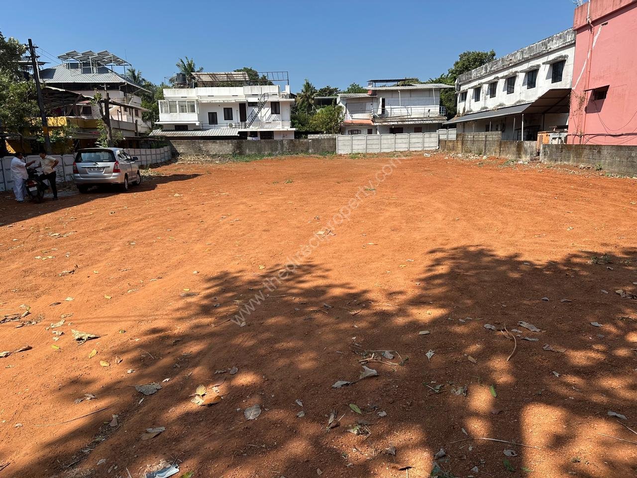 WhatsApp Image 2026-02-12 at 1.13.09 PM