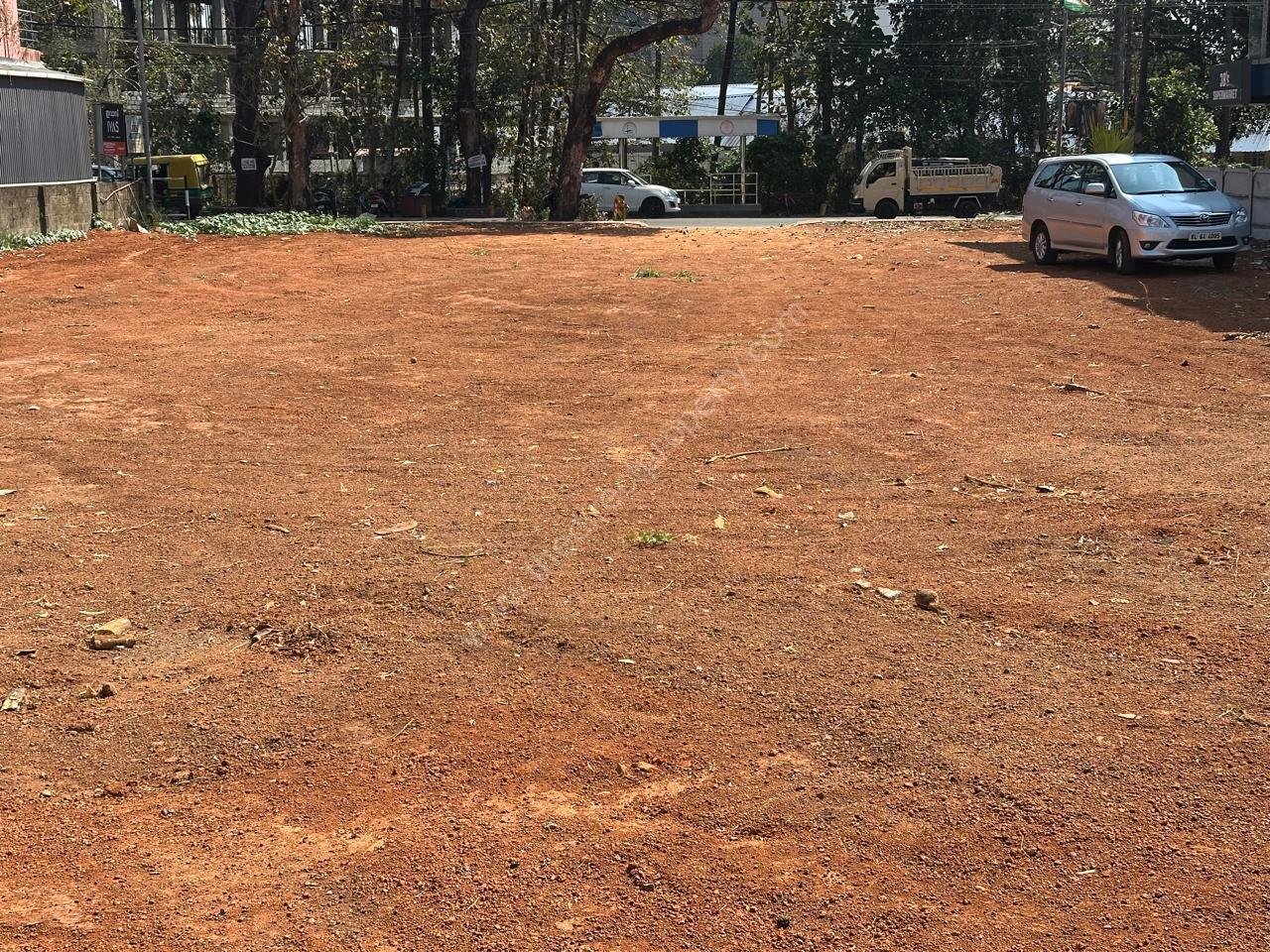 WhatsApp Image 2026-02-12 at 1.13.10 PM