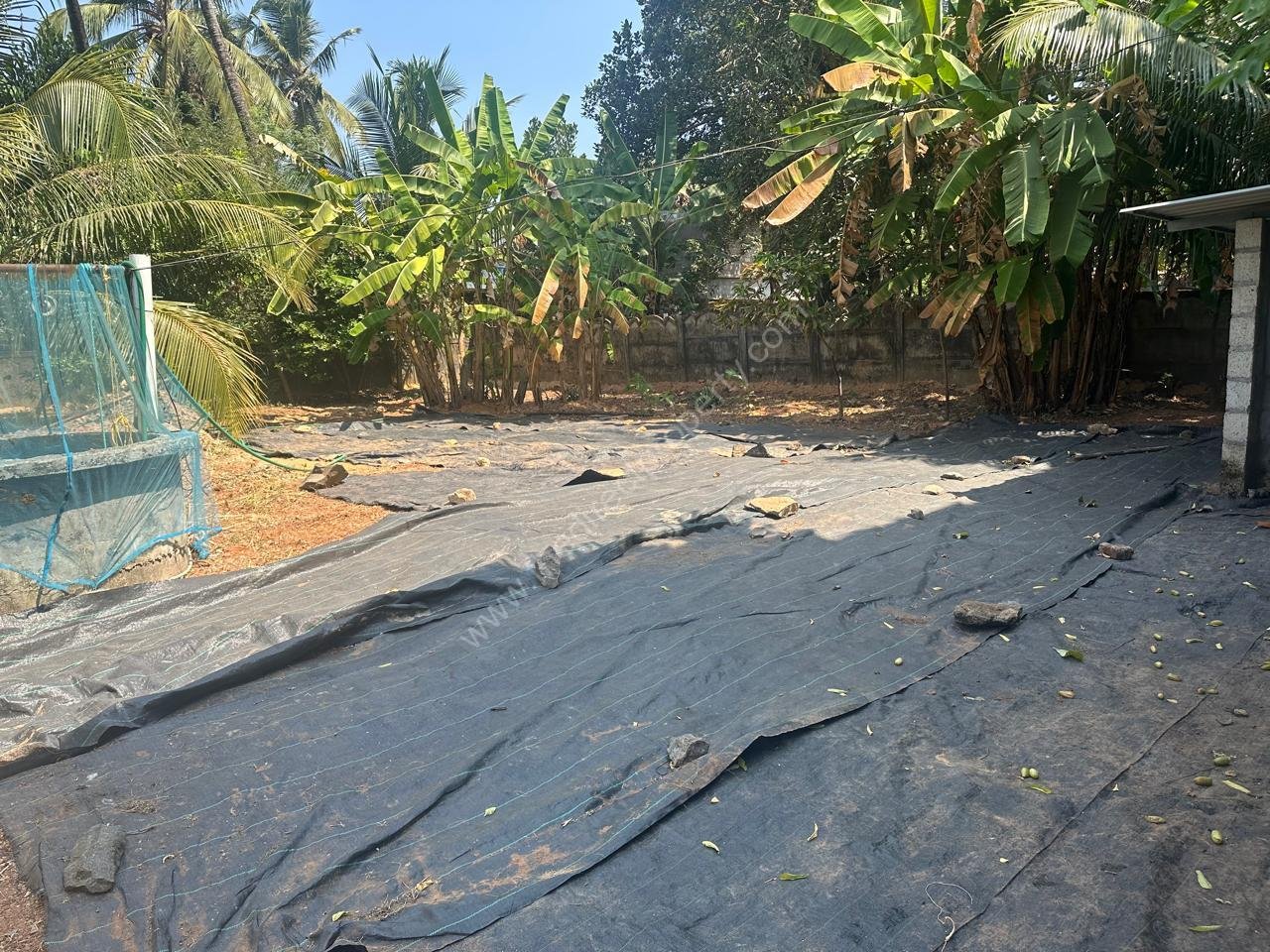 WhatsApp Image 2026-02-13 at 12.23.22 PM (1)