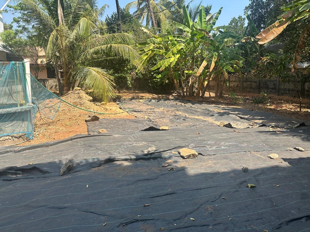 WhatsApp Image 2026-02-13 at 12.23.22 PM (2)