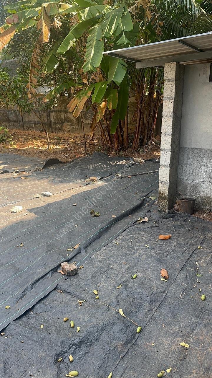 WhatsApp Image 2026-02-13 at 12.23.22 PM (3)