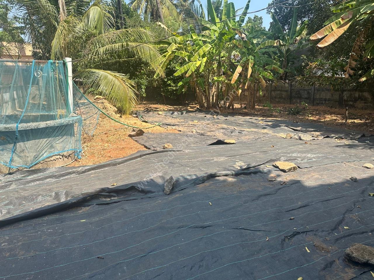 WhatsApp Image 2026-02-13 at 12.23.22 PM (4)