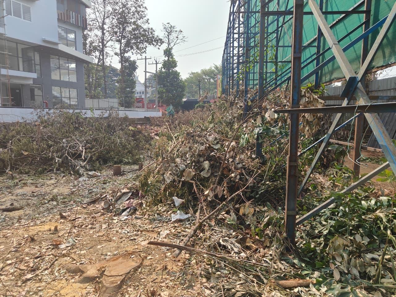 WhatsApp Image 2026-02-16 at 10.06.59 (3)