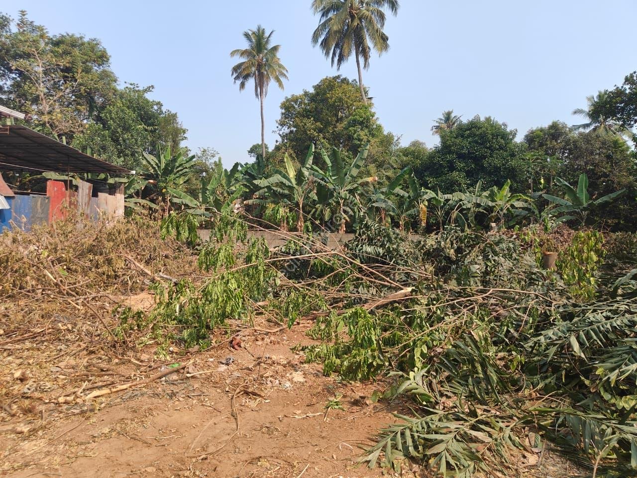 WhatsApp Image 2026-02-16 at 10.06.59 (4)