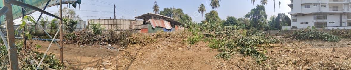 WhatsApp Image 2026-02-16 at 10.07.00