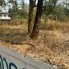Land for sale in Ramavarmapuram