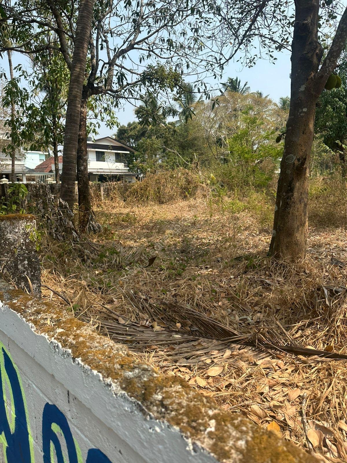 WhatsApp Image 2026-02-16 at 12.06.22 PM (1)