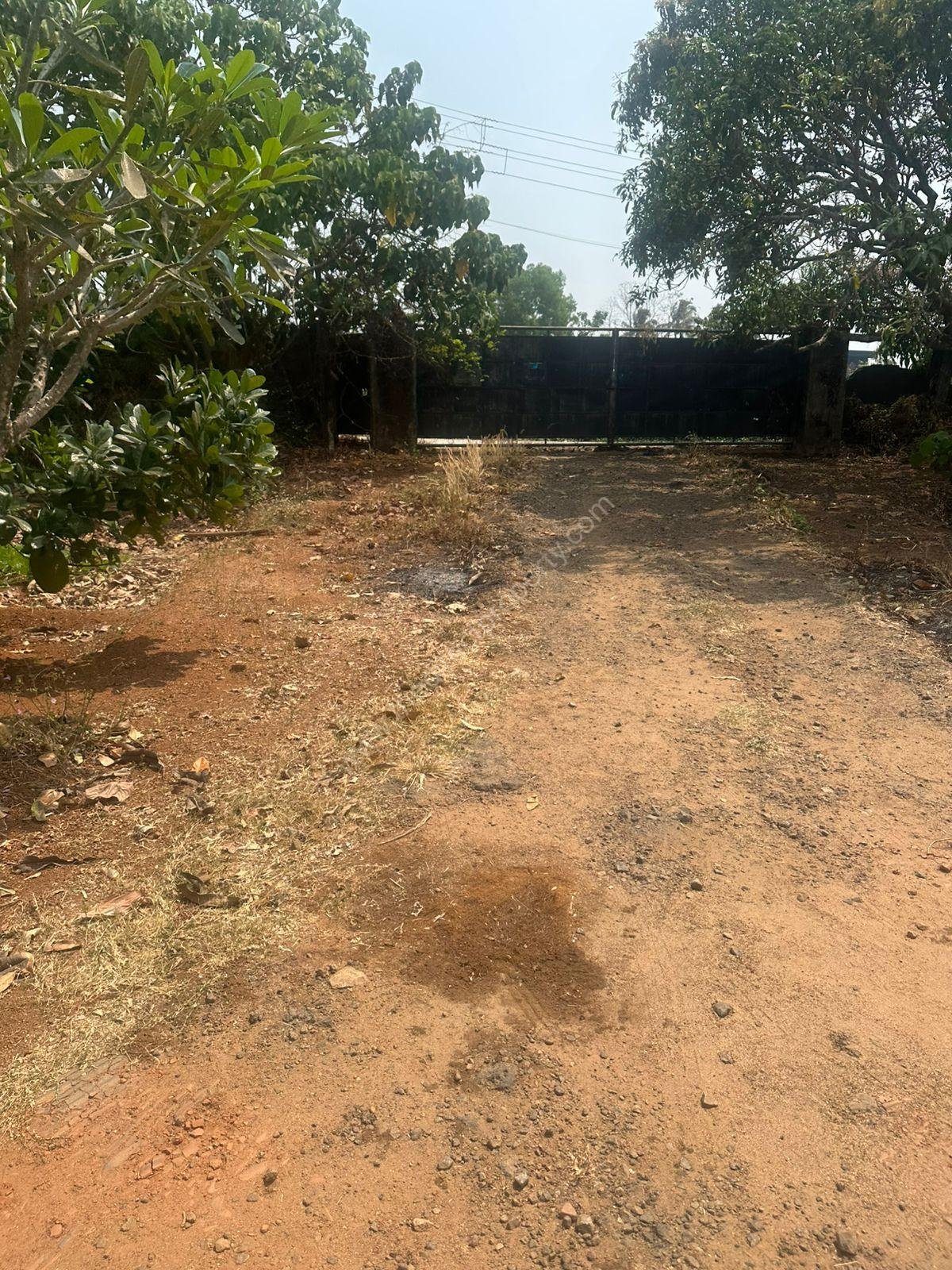 WhatsApp Image 2026-02-16 at 12.09.22 PM