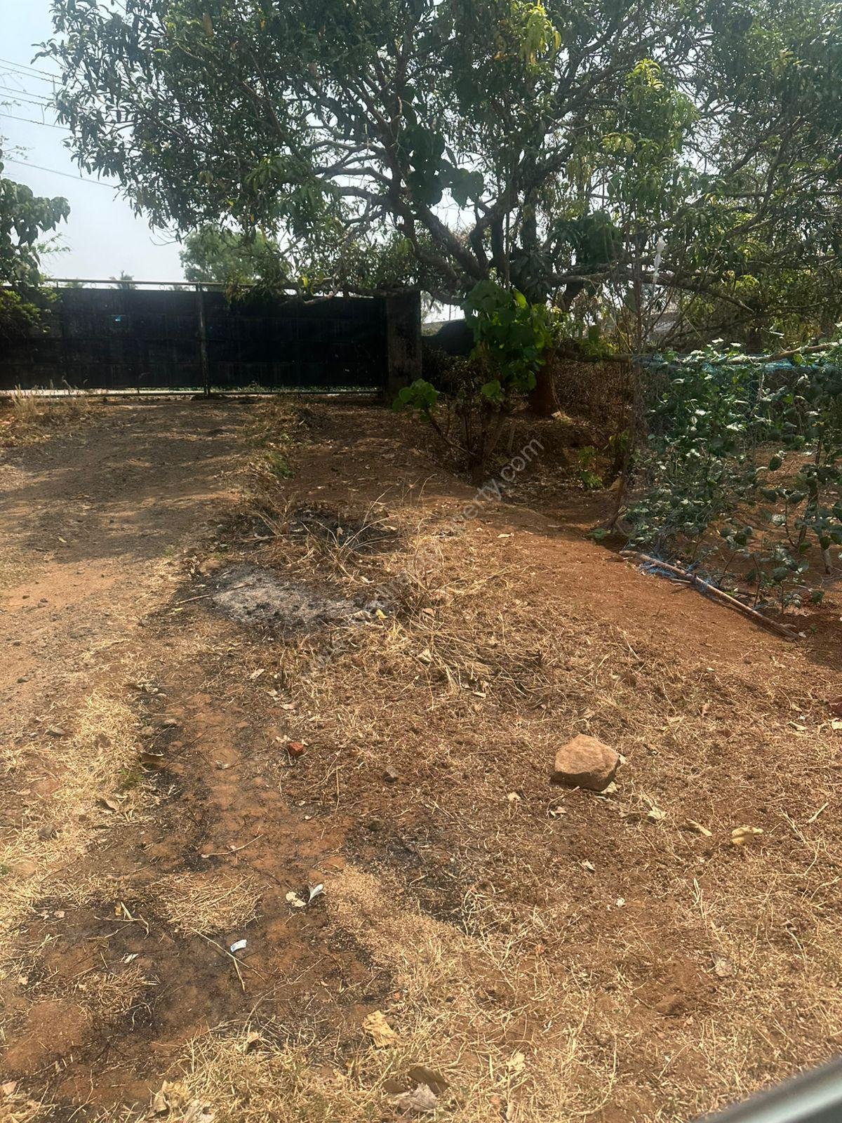 WhatsApp Image 2026-02-16 at 12.09.23 PM