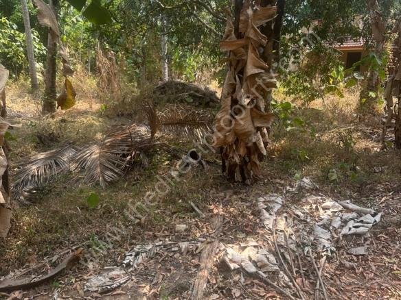 Land for sale in Kolazhy