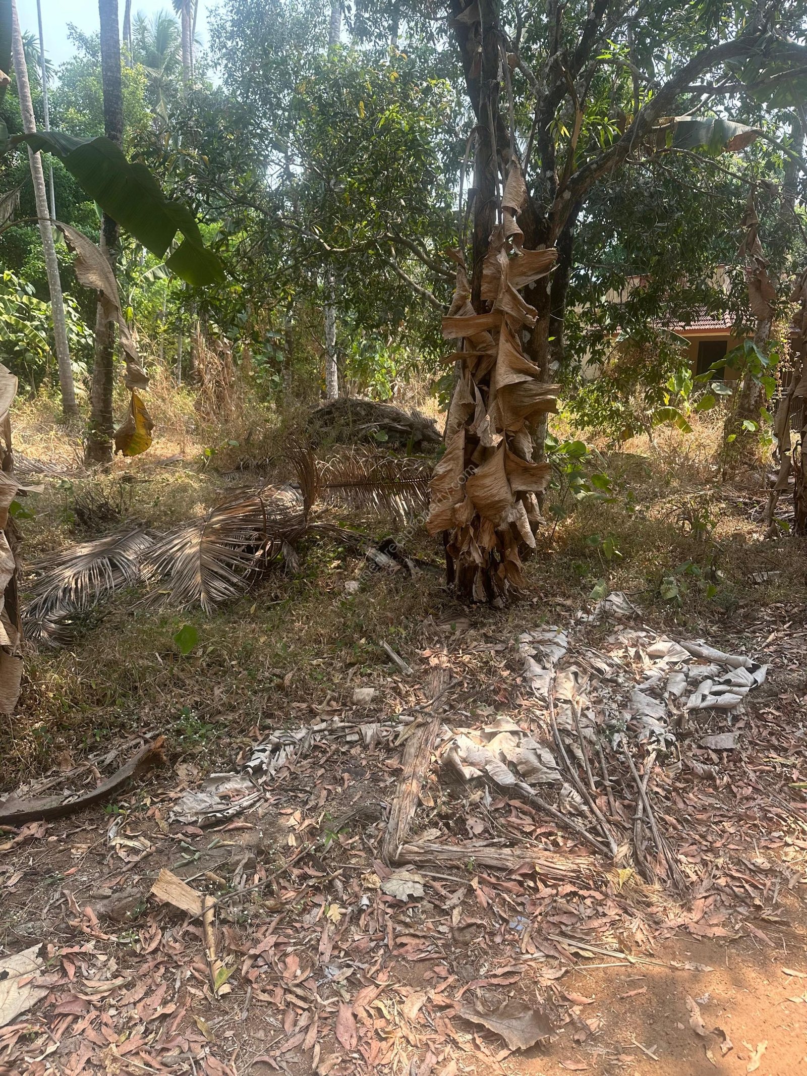 Land for sale in Kolazhy