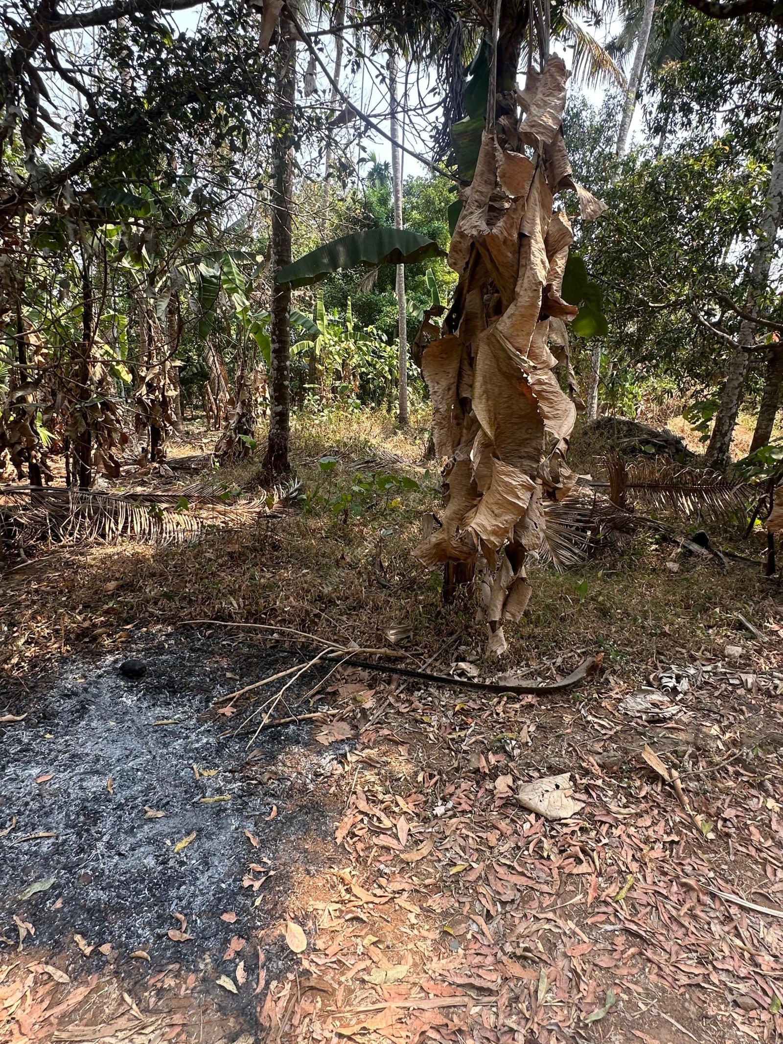 WhatsApp Image 2026-02-16 at 12.56.41 PM (1)