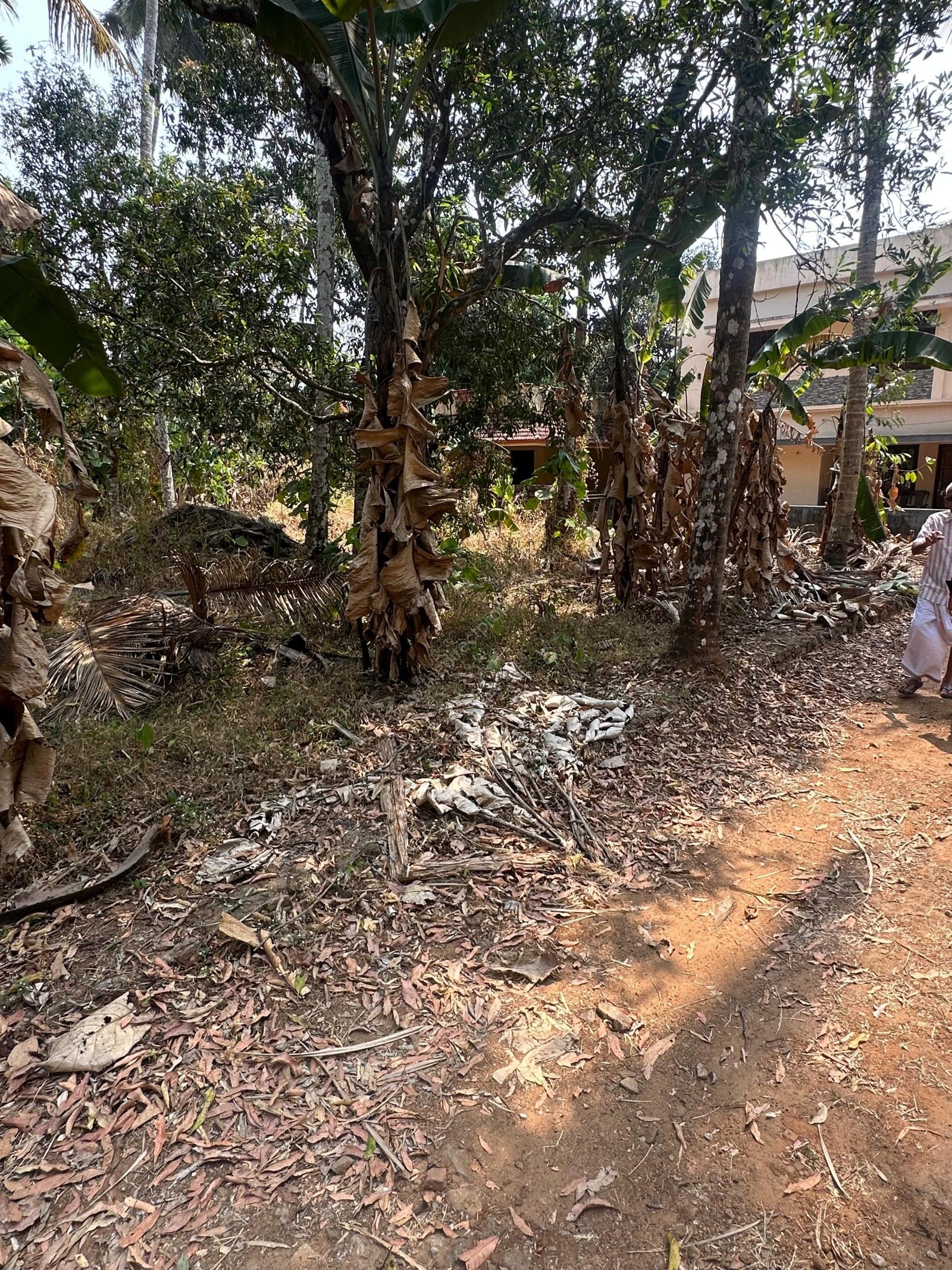 WhatsApp Image 2026-02-16 at 12.56.42 PM