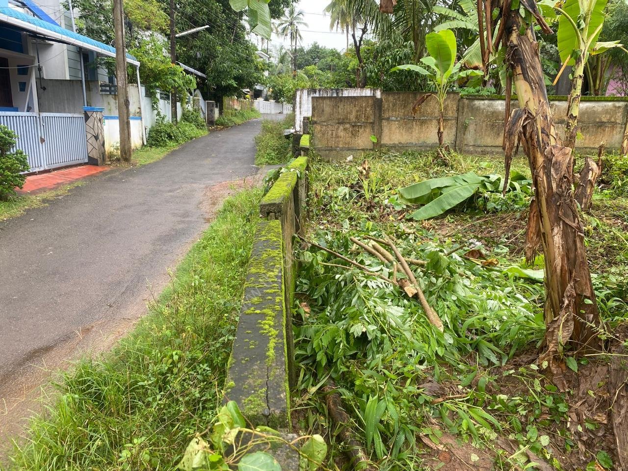 Property for sale in Kanimangalam