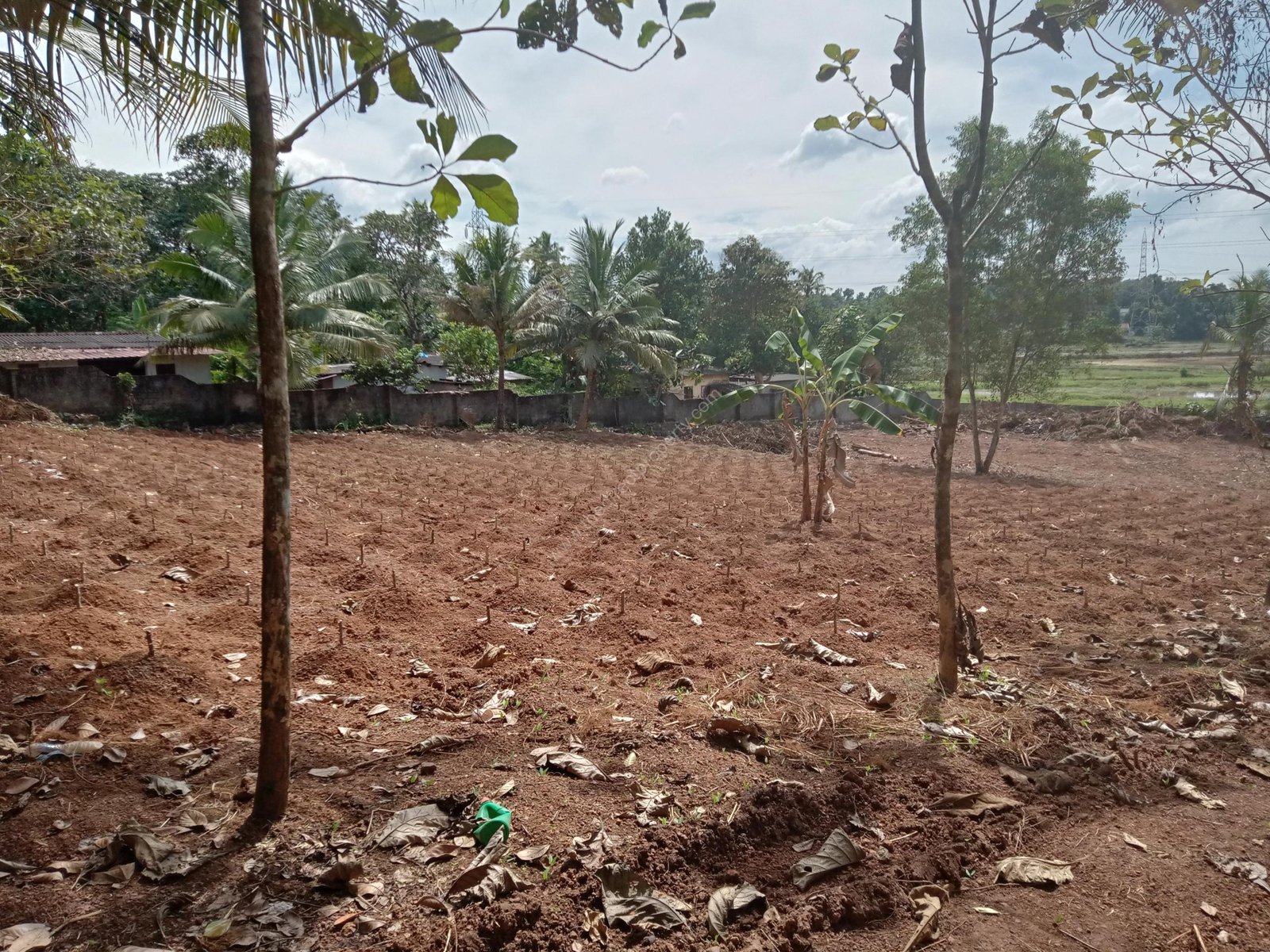 1 House Plots for sale in Kollad