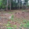 Housing plot for sale in Thirumala