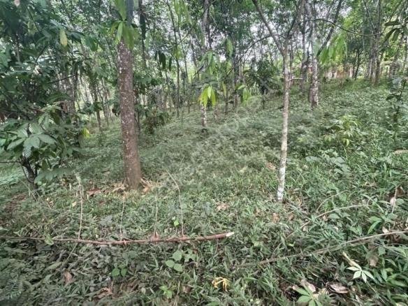 കൃഷിഭൂമി വിൽപ്പനയ്ക്ക്