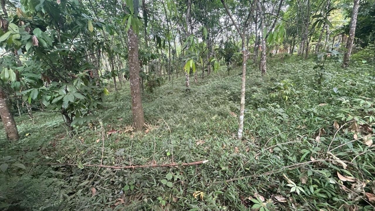 കൃഷിഭൂമി വിൽപ്പനയ്ക്ക്