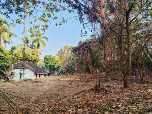 House for sale in Kizhakkencherry