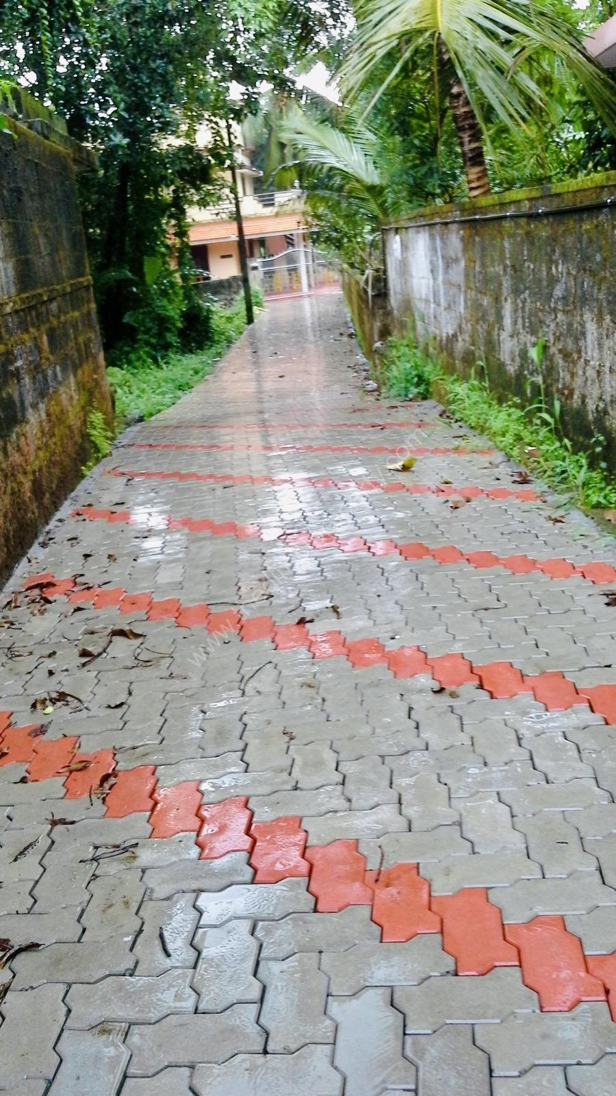 42ef9393-c963-4d81-86c1-b5d9403bc8c1