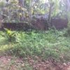 plot for sale at Kovoor