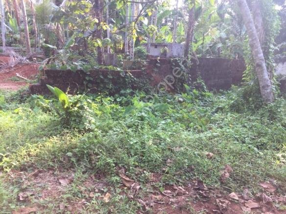 plot for sale at Kovoor