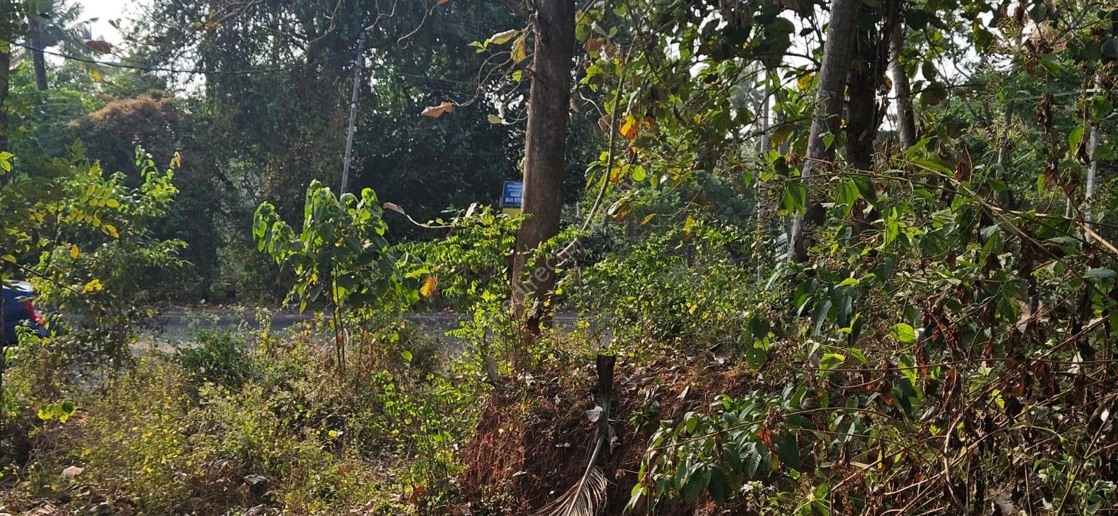 PHOTO-2026-02-15-11-34-43