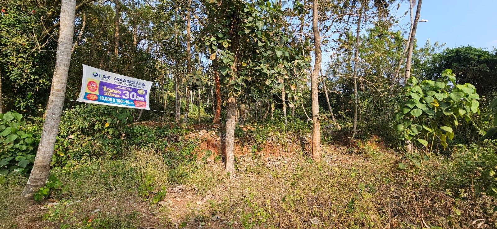 PHOTO-2026-02-15-11-34-45 3