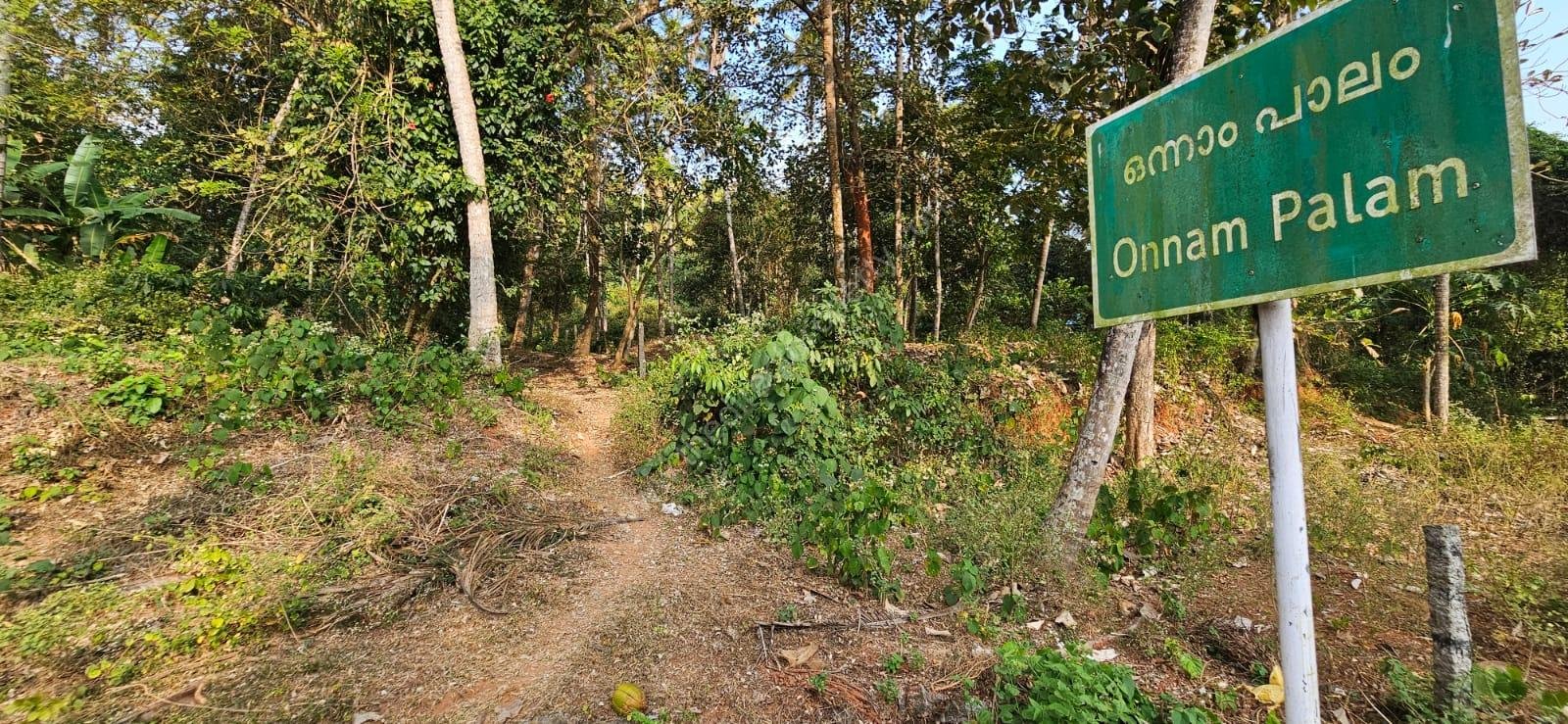 PHOTO-2026-02-15-11-34-45