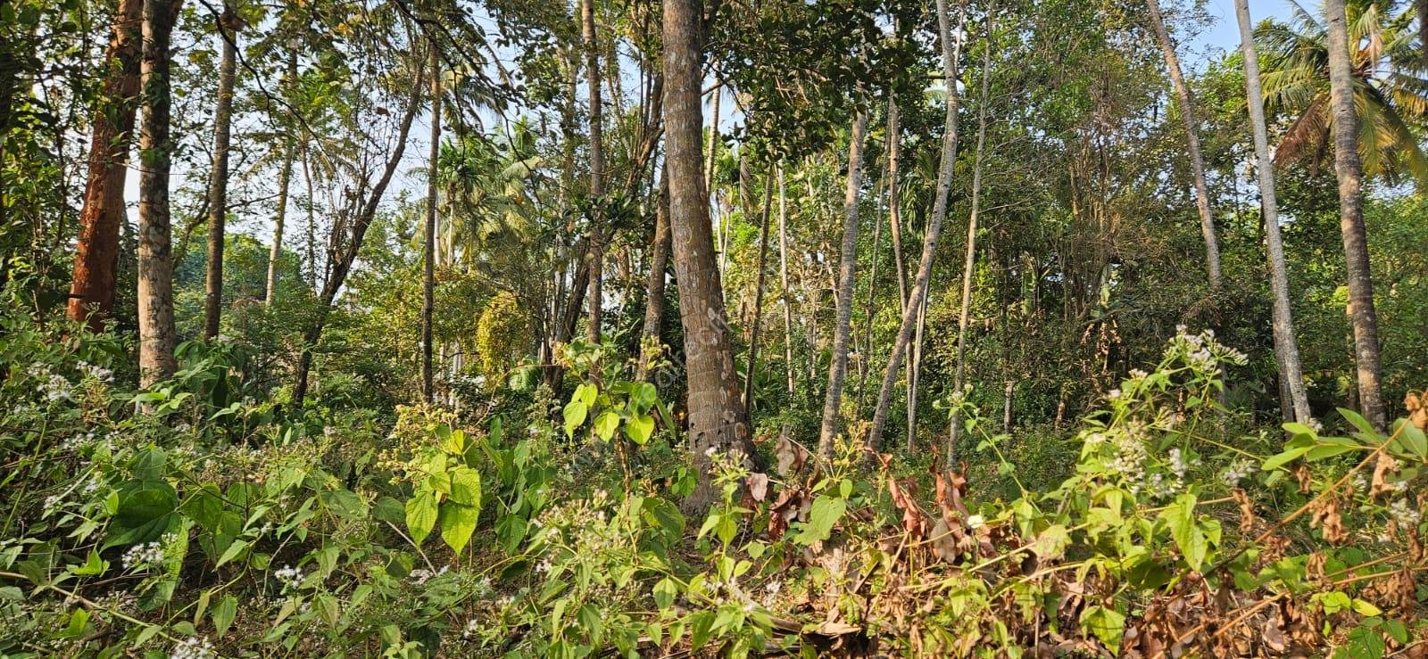 PHOTO-2026-02-15-11-34-48 2