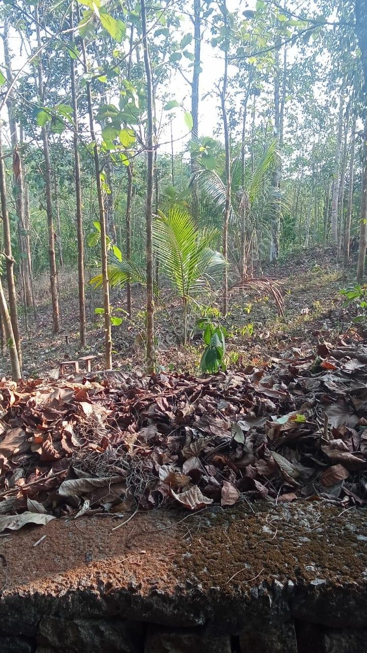 PHOTO-2026-03-23-22-38-36 (1)