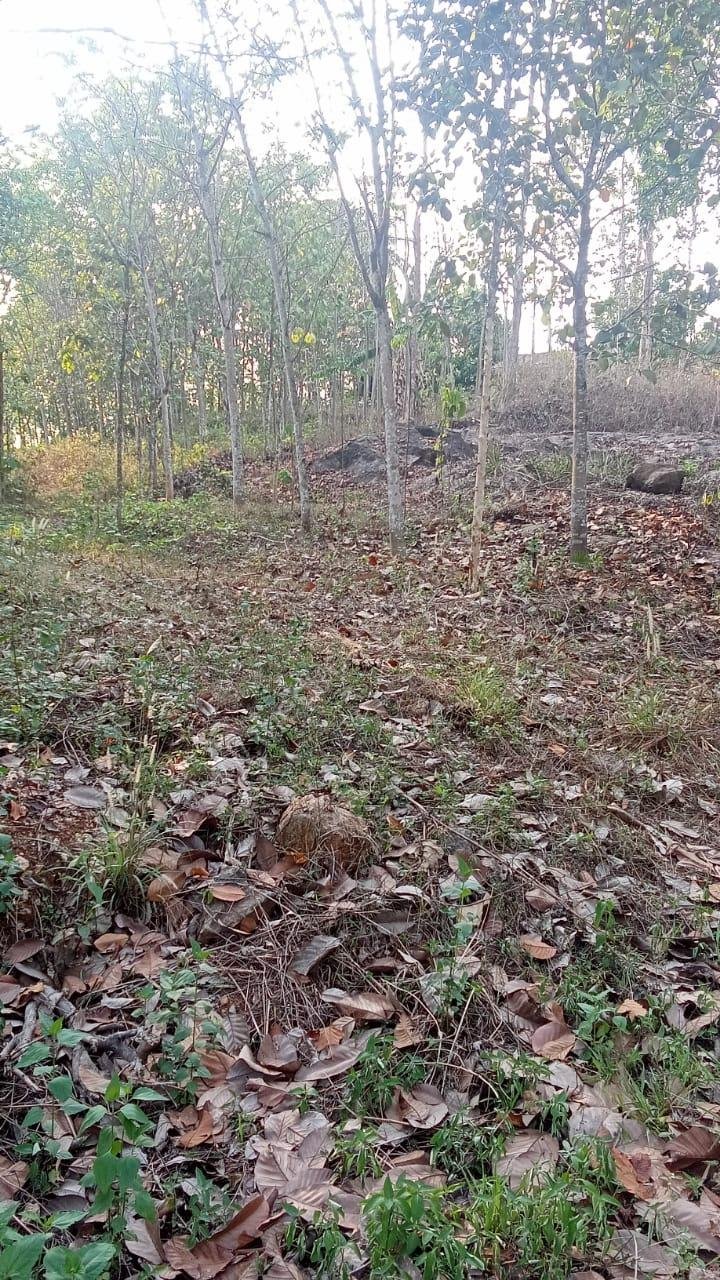 PHOTO-2026-03-23-22-38-36