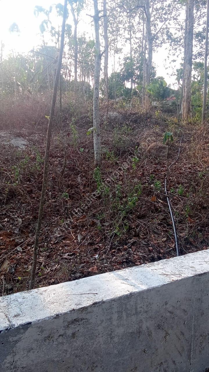 PHOTO-2026-03-23-22-38-37 (1)