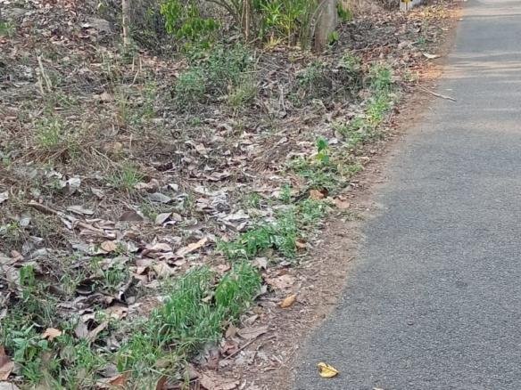 Agricultural land for sale in Kuninji