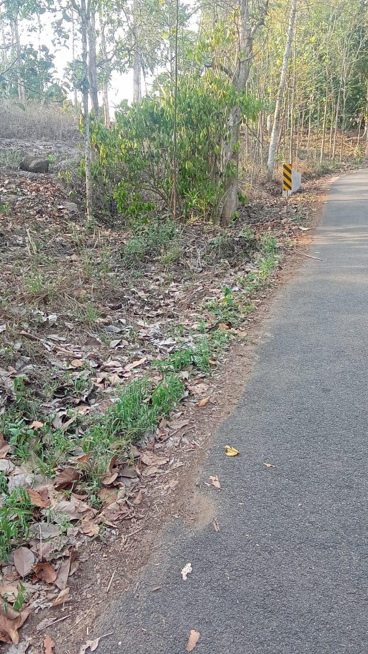 Agricultural land for sale in Kuninji